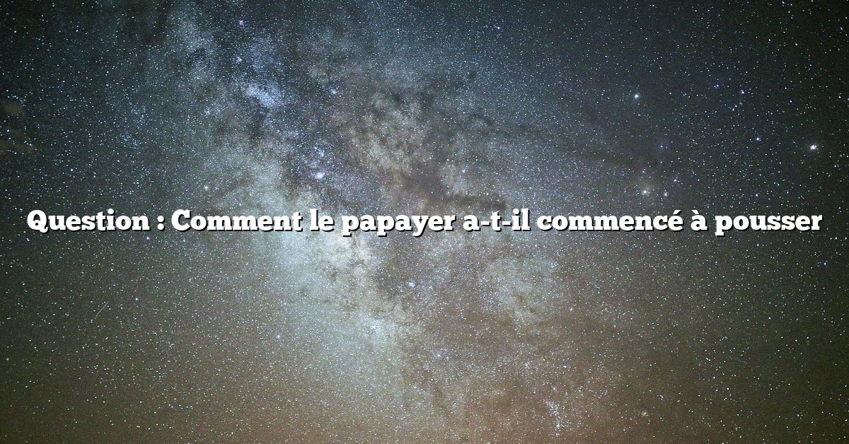 Question : Comment le papayer a-t-il commencé à pousser